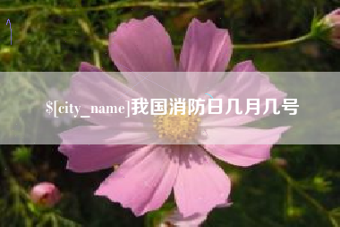 九江我国消防日几月几号