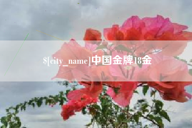 九江中国金牌18金