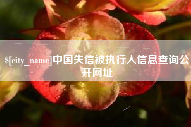 九江中国失信被执行人信息查询公开网址