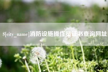 九江消防设施操作员证书查询网址