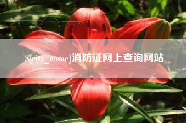 九江消防证网上查询网站