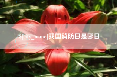 九江我国消防日是哪日