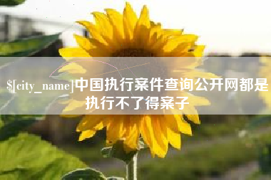 九江中国执行案件查询公开网都是执行不了得案子