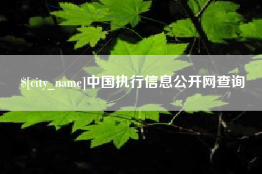 九江中国执行信息公开网查询