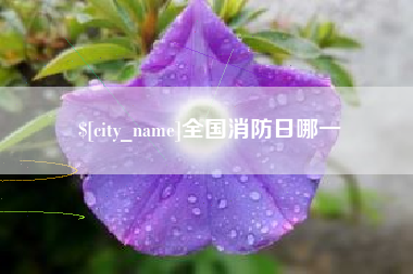 九江全国消防日哪一
