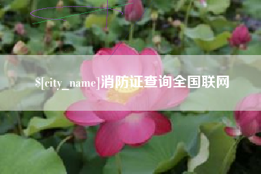 九江消防证查询全国联网