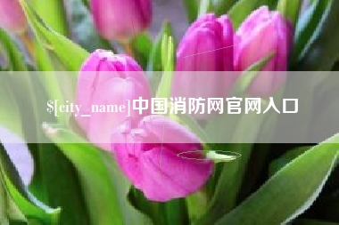 九江中国消防网官网入口