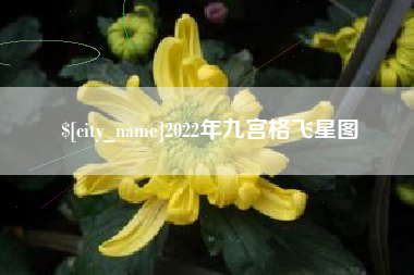 九江2022年九宫格飞星图