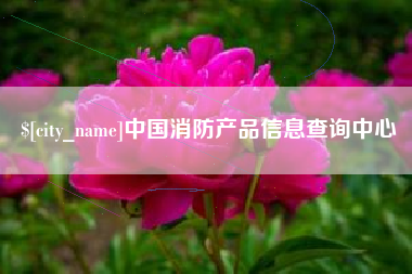 九江中国消防产品信息查询中心