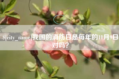 九江我国的消防日是每年的11月9日对吗？