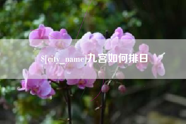 九江九宫如何排日