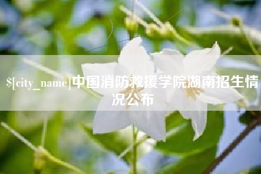 九江中国消防救援学院湖南招生情况公布