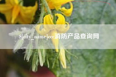 九江ccc消防产品查询网