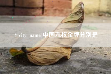 九江中国九枚金牌分别是