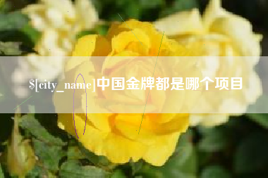 九江中国金牌都是哪个项目