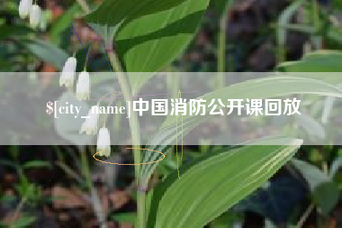九江中国消防公开课回放