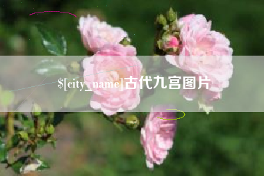 九江古代九宫图片