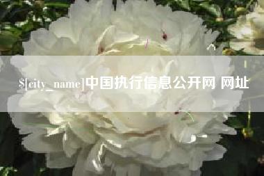 九江中国执行信息公开网 网址