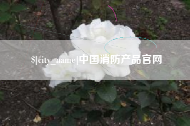 九江中国消防产品官网