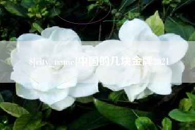 九江中国的几块金牌2021