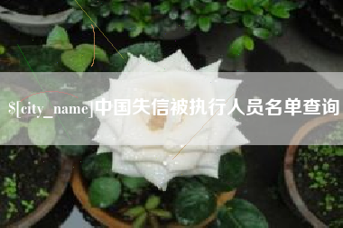 九江中国失信被执行人员名单查询