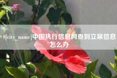 九江中国执行信息网查到立案信息怎么办