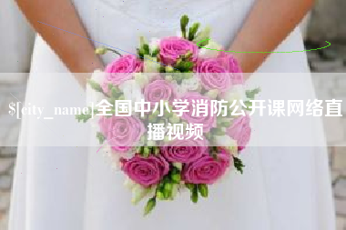 九江全国中小学消防公开课网络直播视频
