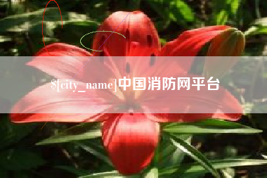 九江中国消防网平台