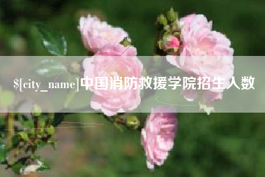 九江中国消防救援学院招生人数