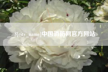 九江中国消防网官方网站