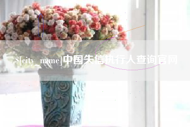 九江中国失信执行人查询官网