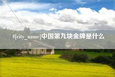 九江中国第九块金牌是什么