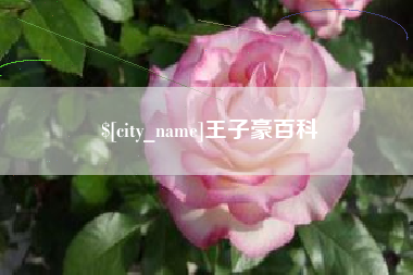 九江王子豪百科