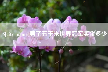 九江男子五千米世界冠军奖金多少