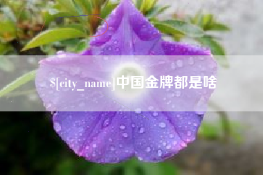 九江中国金牌都是啥