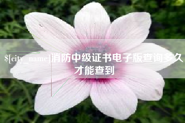 九江消防中级证书电子版查询多久才能查到