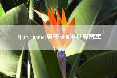 九江男子5000米世界冠军
