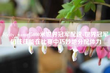九江5000米世界冠军配速-世界冠军们往往能在比赛中巧妙地分配体力