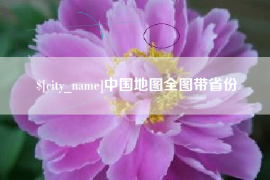 九江中国地图全图带省份