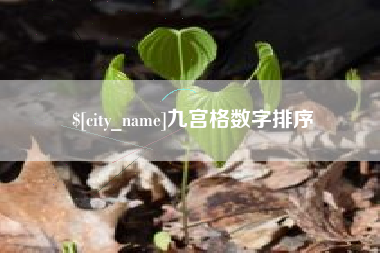 九江九宫格数字排序