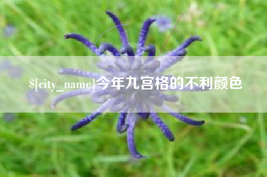 九江今年九宫格的不利颜色