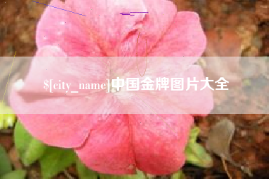 九江中国金牌图片大全