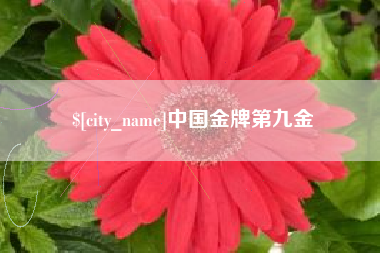 九江中国金牌第九金