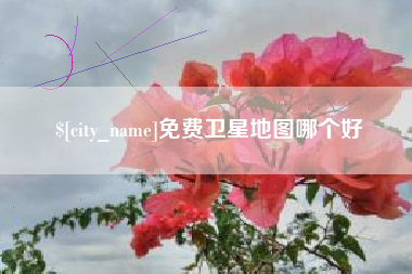 九江免费卫星地图哪个好