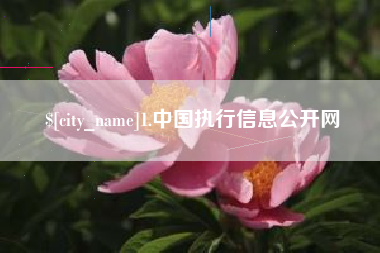 九江1.中国执行信息公开网