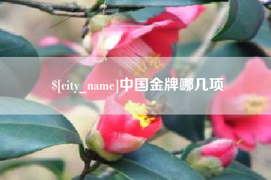九江中国金牌哪几项