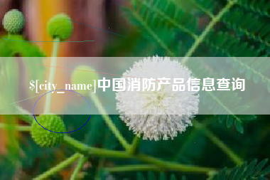 九江中国消防产品信息查询