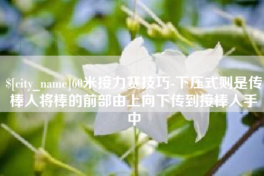 九江60米接力赛技巧-下压式则是传棒人将棒的前部由上向下传到接棒人手中