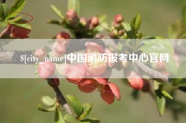 九江中国消防报考中心官网