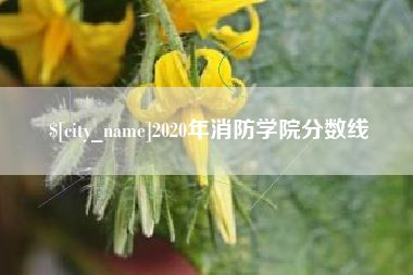 九江2020年消防学院分数线